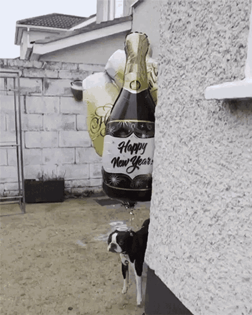 Happy New Year Float Away GIF - Happy New Year Float Away Up GIFs