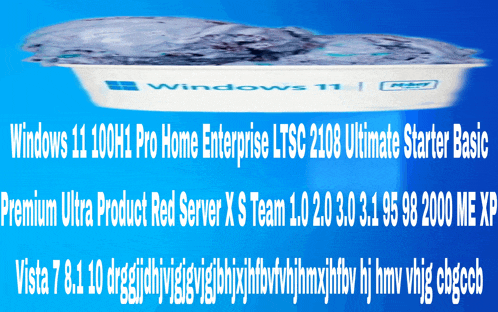 windows 11 pro home enterprise ltsc 2108 ultimate starter basic premium ultra product red server xs team 1.0 2.0 3.0 3.1 95 98 2000 me xp