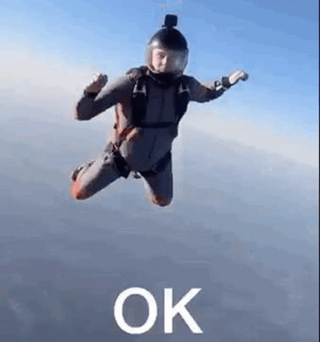Svenonaut Ok GIF - Svenonaut Ok Skydive GIFs