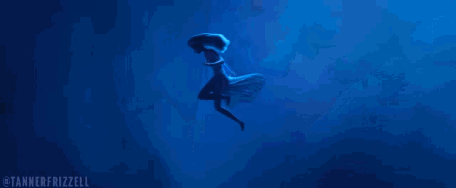 a blue background with a tannerfrizzell watermark