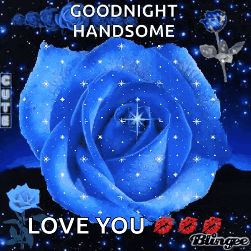 a blue rose with the words " goodnight handsome love you " on it