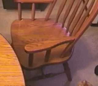 I’ll Just Have A Seat Here GIF - Cat Cats Funny GIFs