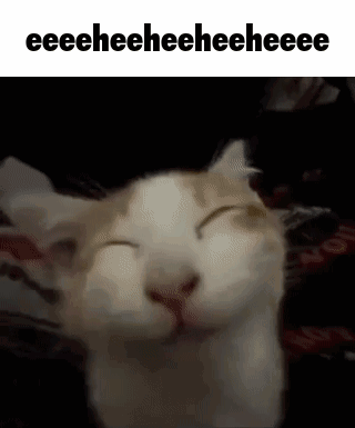 Cat Smiling GIF - Cat Smiling GIFs