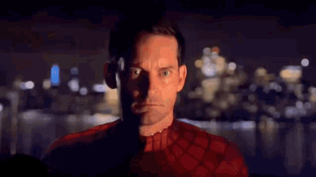 Spider Man Meme GIF - Spider Man Meme GIFs