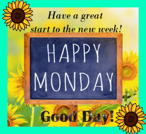 have a great start to the new week ! happy monday good day