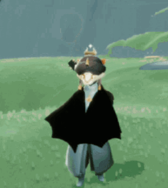 a person wearing a cape and a hat is standing in a grassy field in a video game .