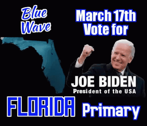 Blue Wave Usa GIF - Blue Wave Usa Joe Biden GIFs
