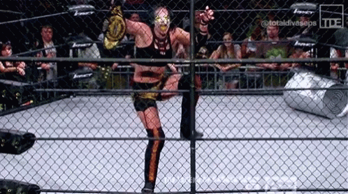Rosemary Cage GIF - Rosemary Cage Knockouts Champion GIFs
