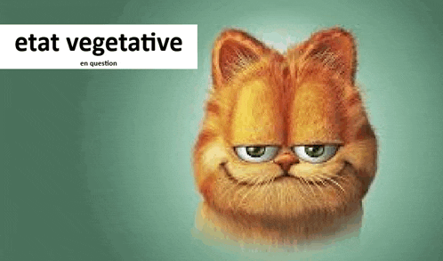 garfield is a cartoon cat with a big head and a big smile .