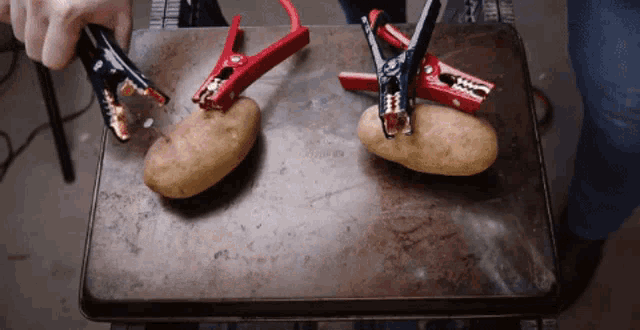 two potatoes are sitting on a metal tray with a pair of clamps on them
