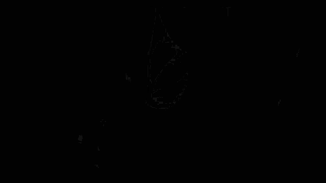 a black and white drawing of a person 's face with a sword in it .