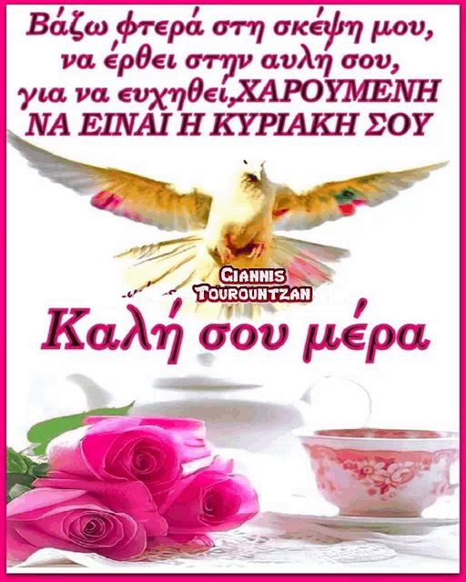 a picture of a cup of coffee and pink roses with the name giannis touroutzan at the top