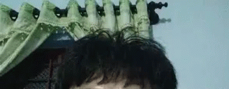 What Hair GIF - What Hair Recorded GIFs