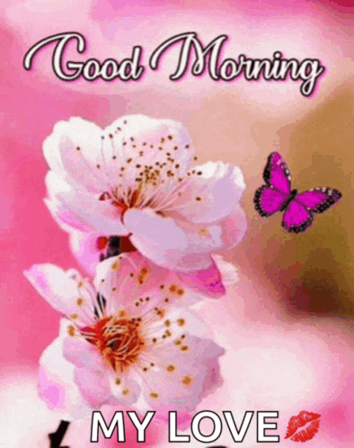 a good morning message with a butterfly and pink flowers