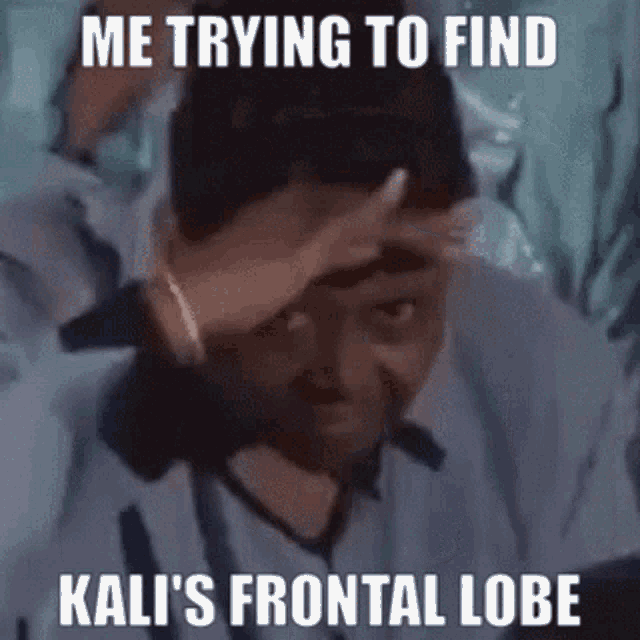 Kali Me Trying To Find GIF - Kali Me Trying To Find Kalis Frontal Lobe GIFs