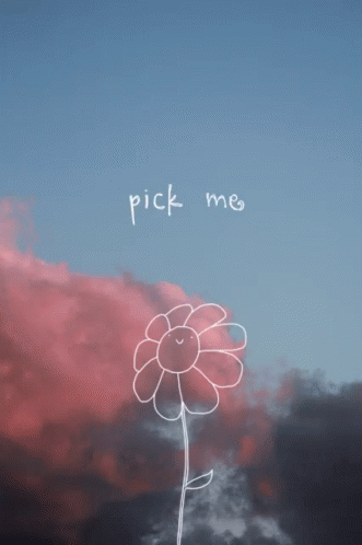 Pick Me GIF - Pick Me GIFs