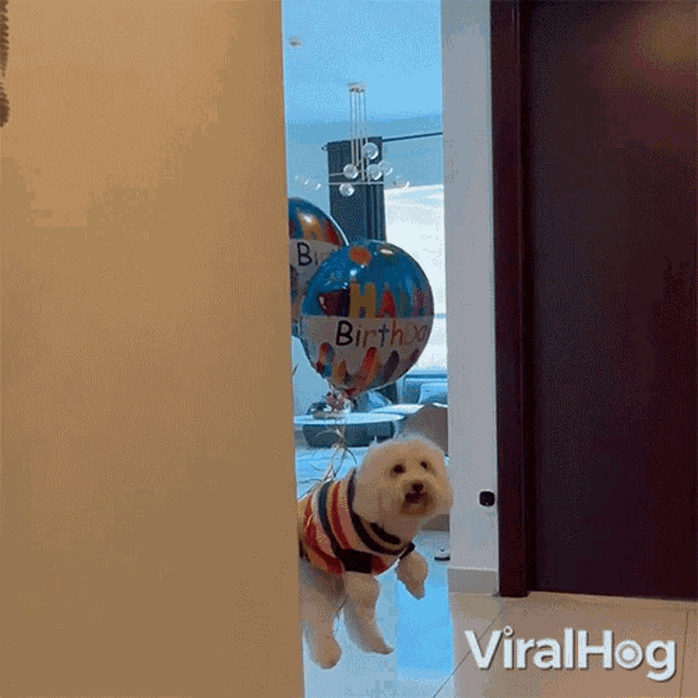 a dog standing in front of a birthday balloon that says " happy birthday "