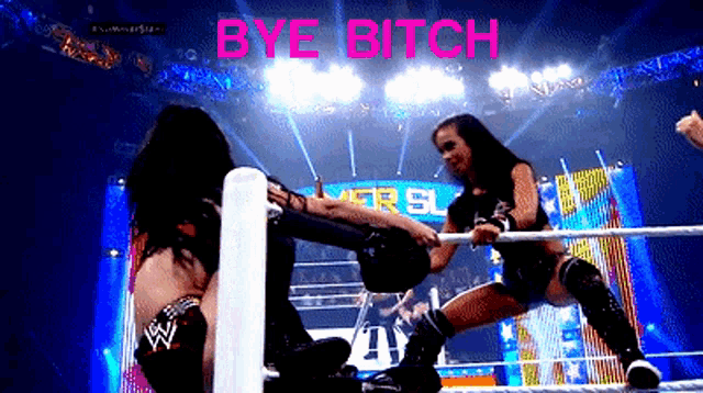 two women are wrestling in a ring and the words bye bitch are on the bottom