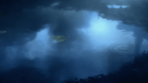 a dark blue background with a leaf floating in the water