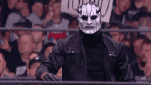 a wrestler in a mask is standing in front of a crowd .
