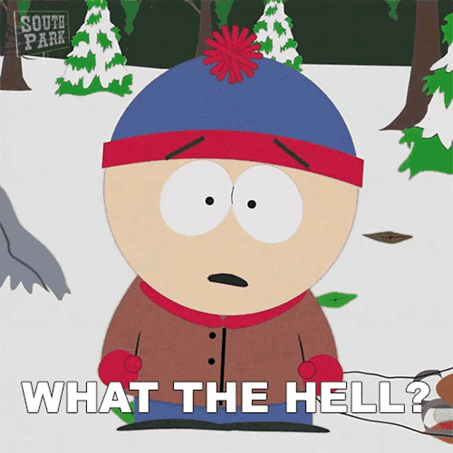 stan marsh from south park is sitting in the snow and says what the hell