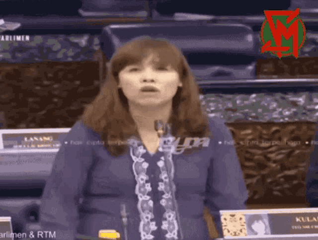 a woman is giving a speech in front of a microphone in a parliament ..