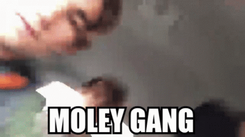 Moley Gang Moley GIF - Moley Gang Moley Squillz GIFs
