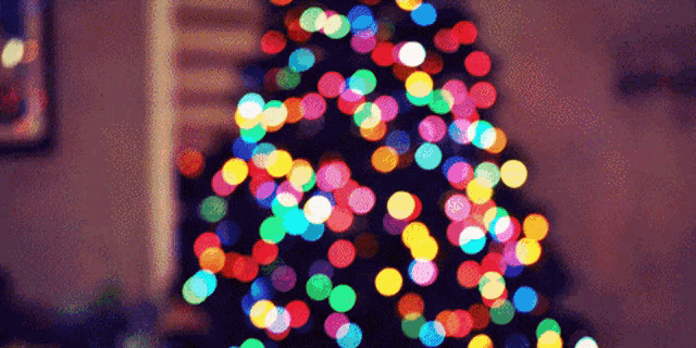 a blurry picture of a christmas tree with colorful lights