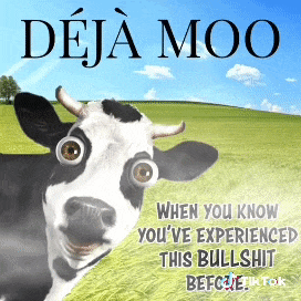 a black and white cow with googly eyes is on a poster that says deja moo when you know you 've experienced this bullshit