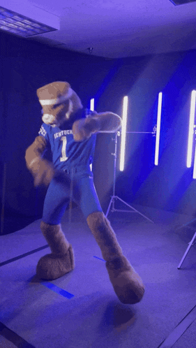 a mascot wearing a kentucky jersey is dancing