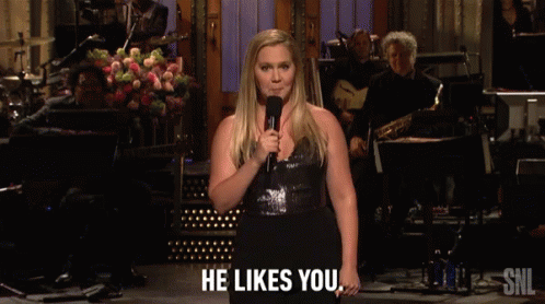 He Likes You Amy Schumer GIF - He Likes You Amy Schumer Saturday Night Live GIFs