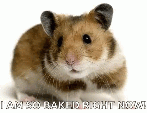Mouse Cute GIF - Mouse Cute Baked GIFs