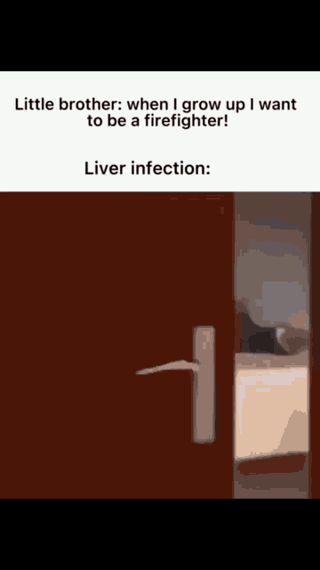 Liver Infection GIF - Liver Infection GIFs