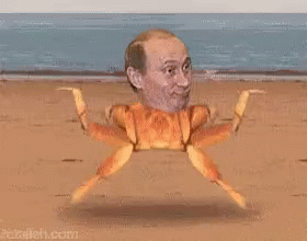 Crab Putin GIF - Crab Putin GIFs