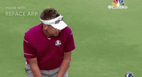 Poulter Gull GIF - Poulter Gull GIFs