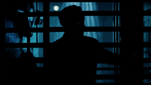 a silhouette of a man standing in a dark hallway