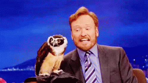 Owl Conan GIF - Owl Conan Shocked GIFs