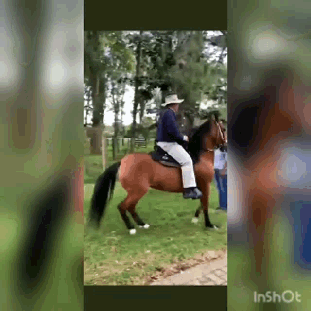 a man in a cowboy hat is riding a brown horse .