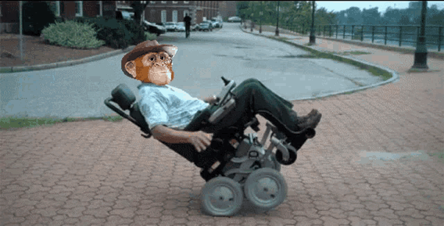 Disabled Apes GIF - Disabled Apes GIFs