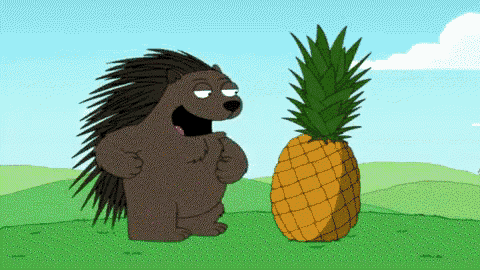 a cartoon porcupine standing next to a pineapple in a field