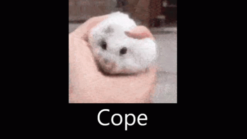Cope Hampter GIF - Cope Hampter Cope Harder GIFs