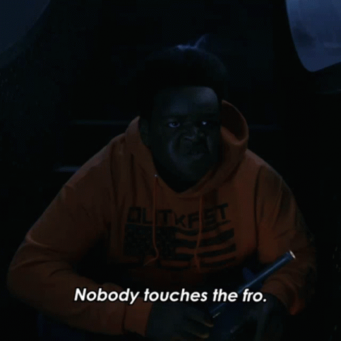 Nobody Touches The Fro Berger GIF - Nobody Touches The Fro Berger Secret Headquarters GIFs