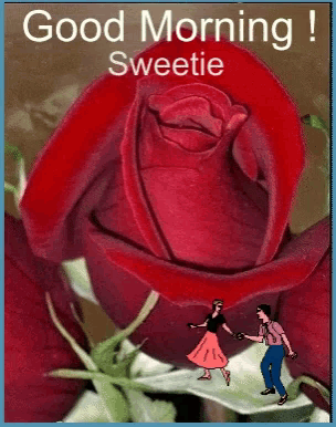 a man and woman are dancing in front of a large red rose with the words " good morning sweetie " above them