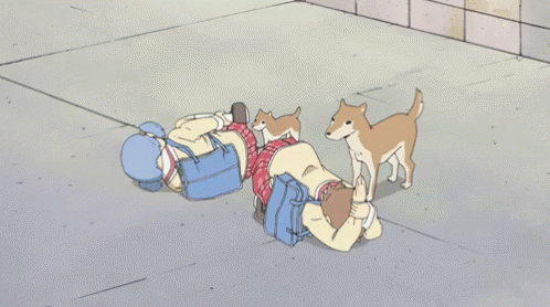 Nichijou Dog GIF - Nichijou Dog Puppy GIFs