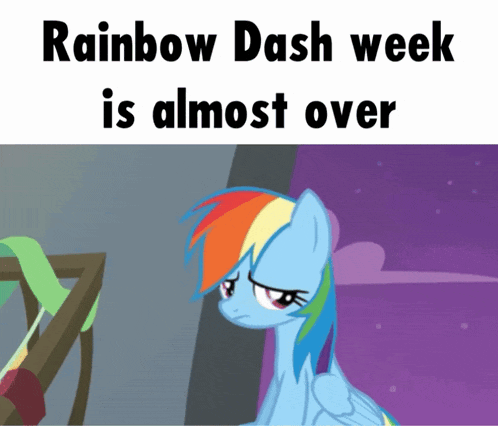 rainbow dash week is almost over with a picture of a sad looking pony