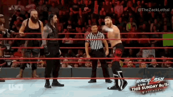 a group of wrestlers are standing in a wrestling ring .