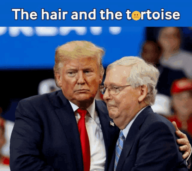 Hair Trump GIF - Hair Trump Mc Connell GIFs