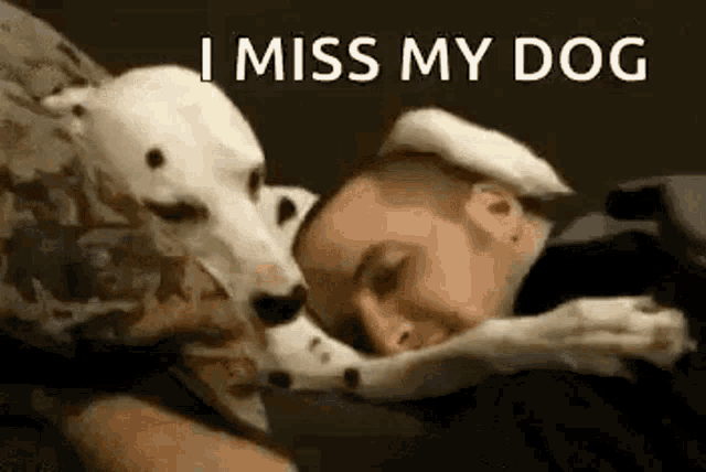 a man is laying on a bed with a dog on his chest .