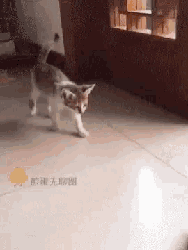 Cat Tired GIF - Cat Tired Time To Sleep GIFs