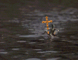 a picture of a snake in the water with the words - ibo graaet !!! written below it